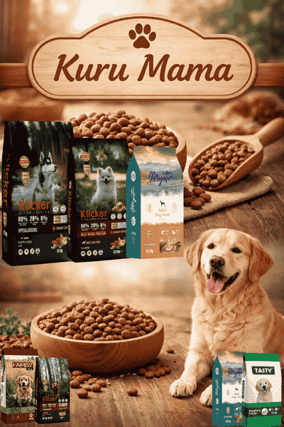 kuru köpek mama