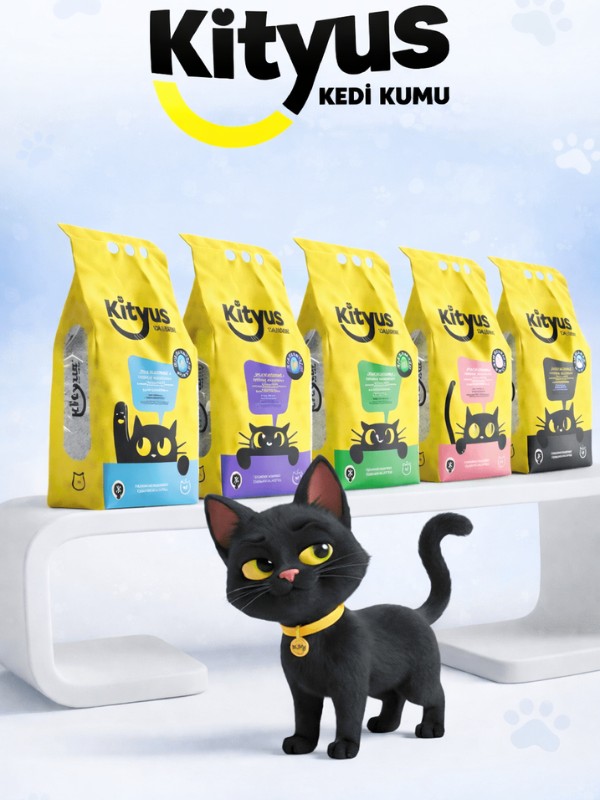 kityus kedi kumları kityus kedi kumları