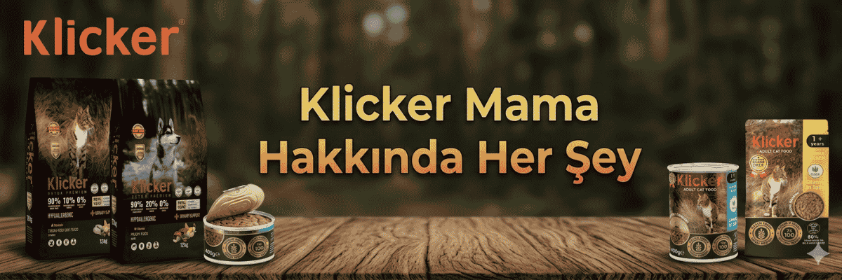 klicker mama hakkında her Şey kedi ve köpek besleme rehberi klicker mama hakkında her Şey kedi ve köpek besleme rehberi