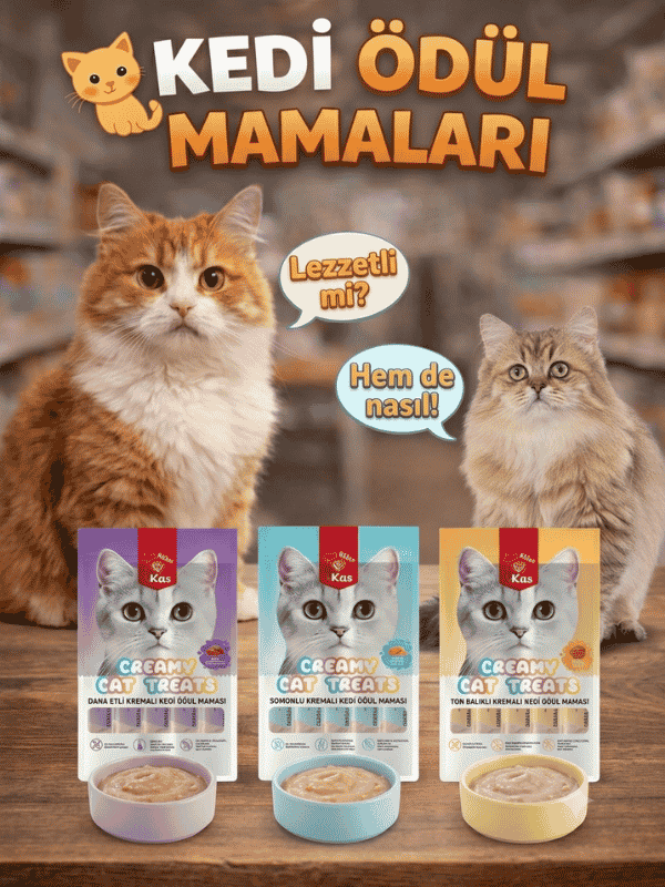 kedi ÖdÜl mamaları kedi ÖdÜl mamaları